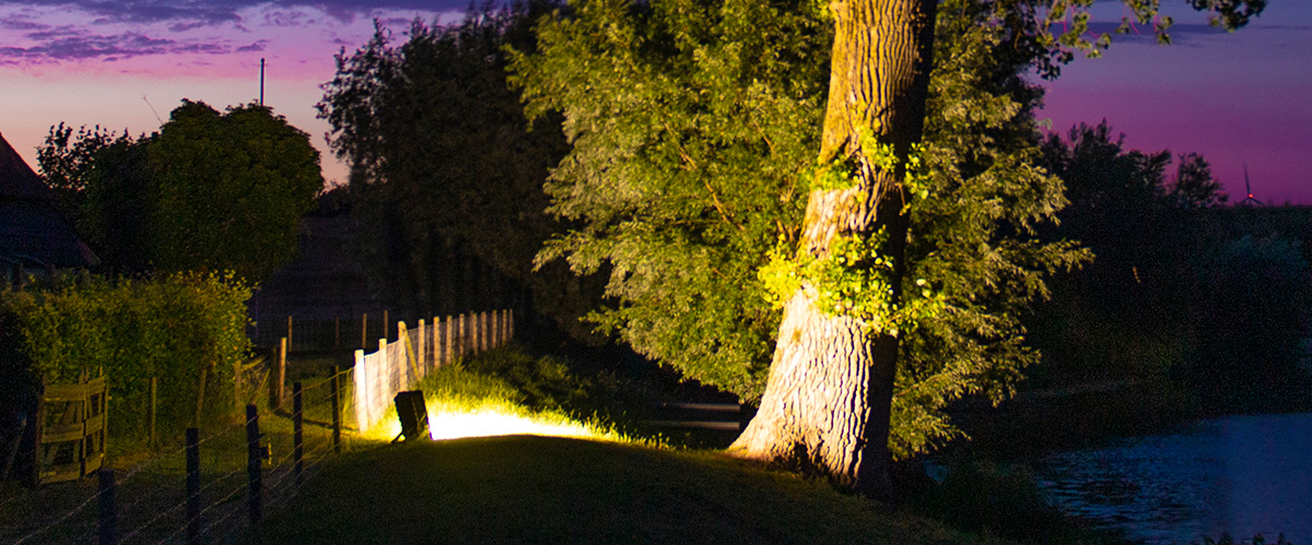 éclairage arbre avec projecteur led