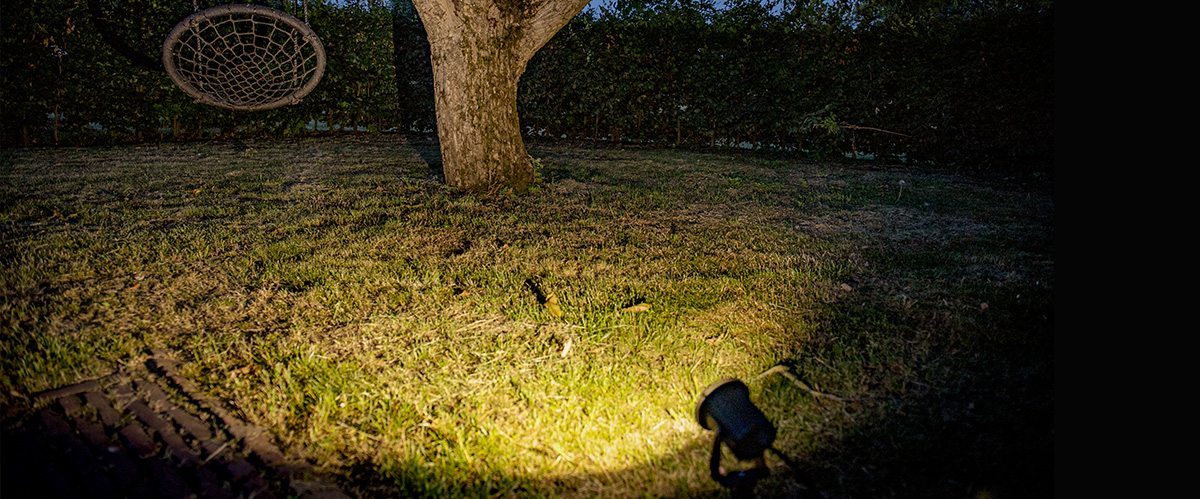 Spot à piquer éclaire un arbre