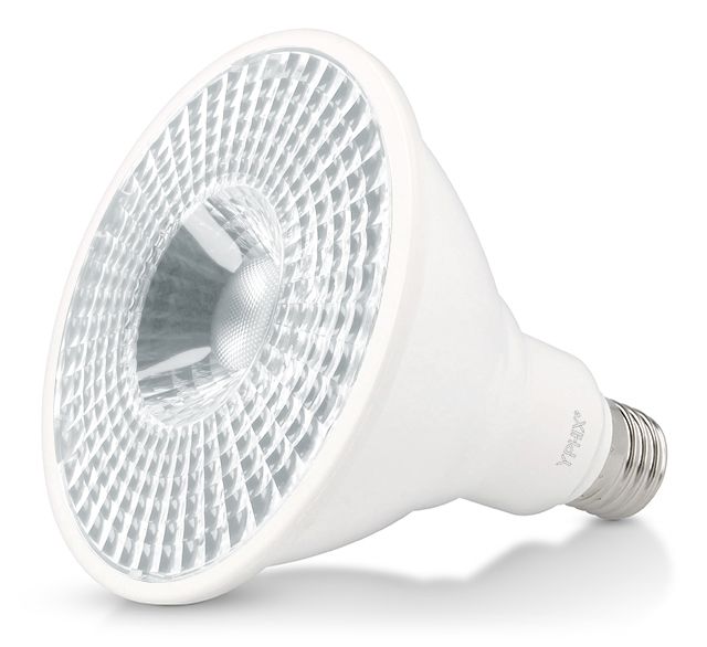 Ampoule LED E27 Pollux Par 38 17W 3000K dimmable blanc