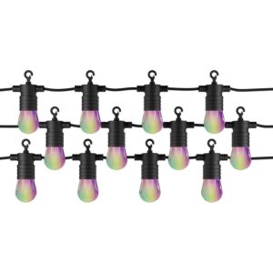 Guirlande Lumineuse LED Connectée Tint Stella Extérieur RGB+CCT 12 Lampes | Zigbee 3.0 | Bluetooth | IP44