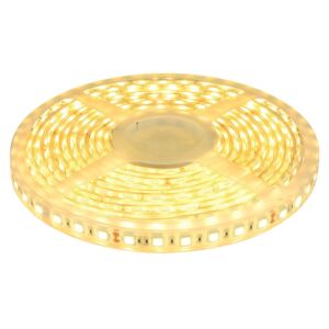 Ruban LED 5m 24V 3000K IP68 300 SMD 5050 LEDS