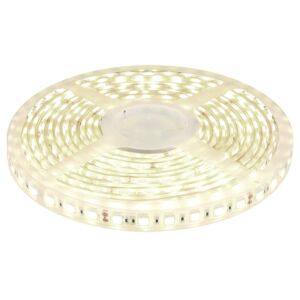 Ruban LED 5m 24V 4000K IP68 300 SMD 5050 LEDS