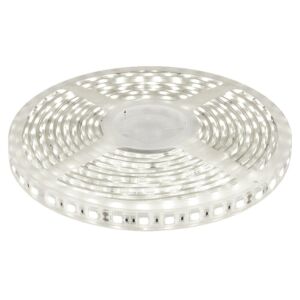 Ruban Led 12V 120LED/m Blanc lumière du jour 6500K 9.6w/m étanche IP64 5m