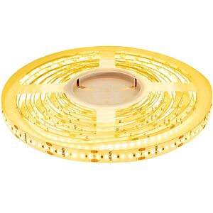 Ruban LED 5m 24V 2700K IP20 900 SMD 2110 LEDS