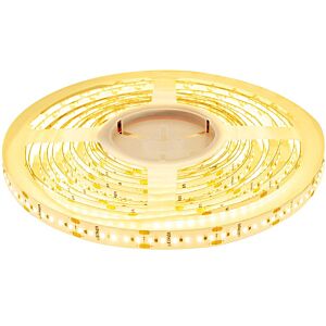 Ruban LED 5m 24V 3000K IP20 900 SMD 2110 LEDS