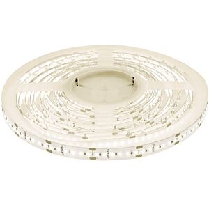Ruban LED 5m 24V 4000K IP20 900 SMD 2216 LEDS