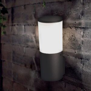 Applique murale Amelia noir verre opaque E27 8,5W 2700-4000-6500K IP55