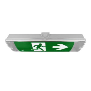 Bloc de secours LED Monarch 3W 6000K IP65 avec auto-test