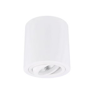 Spot en saillie Roma blanc rond orientable
