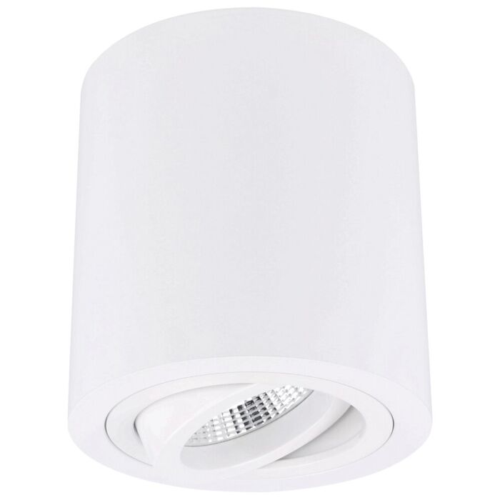 Spot en saillie Roma blanc rond orientable