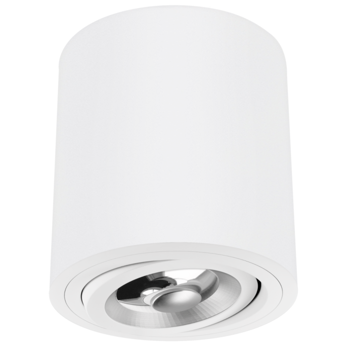 Spot en saillie Roma AR111 blanc rond orientable
