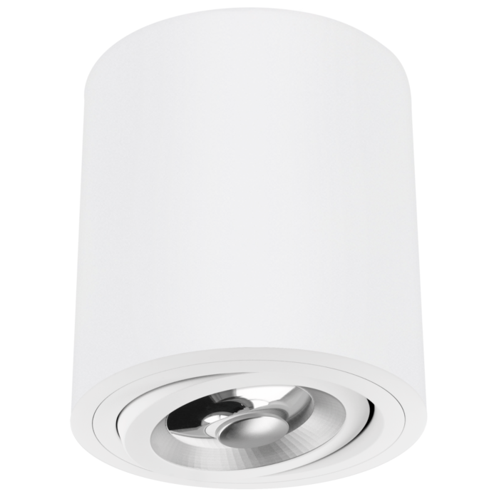 Spot en saillie Roma AR111 blanc rond orientable