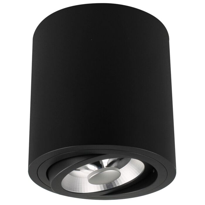 Spot en saillie Roma AR111 noir rond orientable