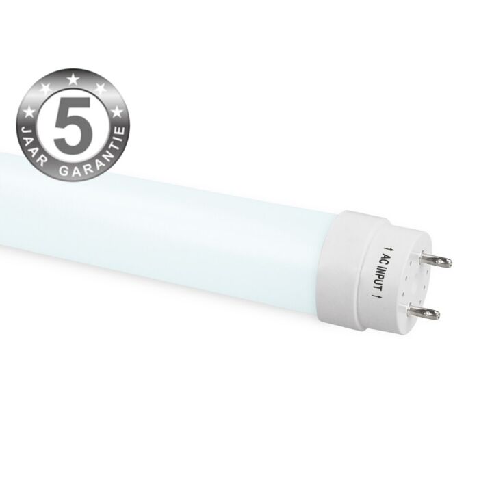  Tube fluorescent T8 LED Premium Line 60cm 10W 6500K
