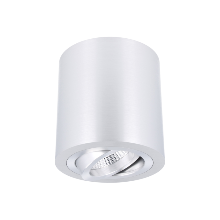Spot en saillie Roma aluminium rond orientable